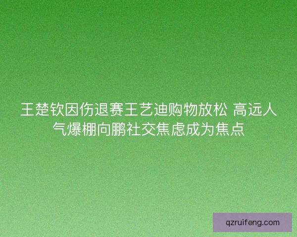 王楚钦因伤退赛王艺迪购物放松 高远人气爆棚向鹏社交焦虑成为焦点