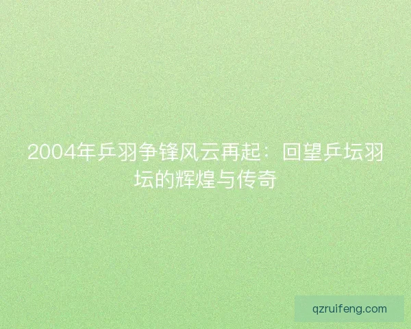 2004年乒羽争锋风云再起：回望乒坛羽坛的辉煌与传奇