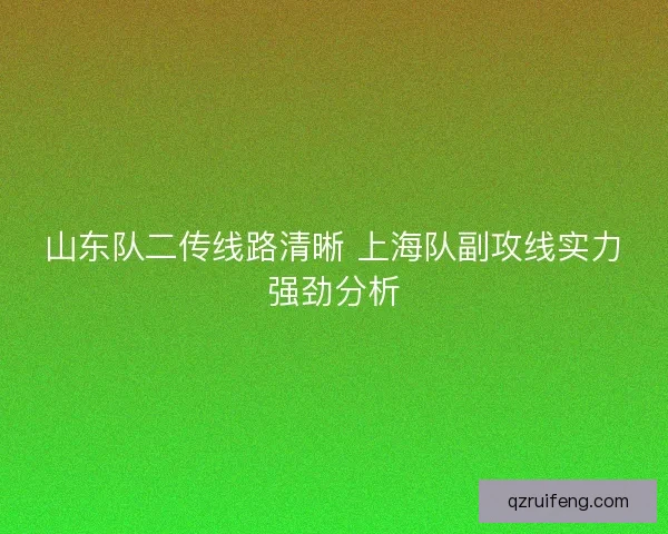 山东队二传线路清晰 上海队副攻线实力强劲分析