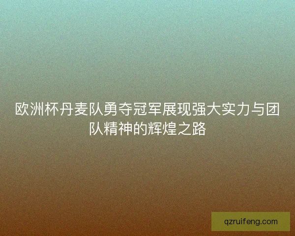 欧洲杯丹麦队勇夺冠军展现强大实力与团队精神的辉煌之路